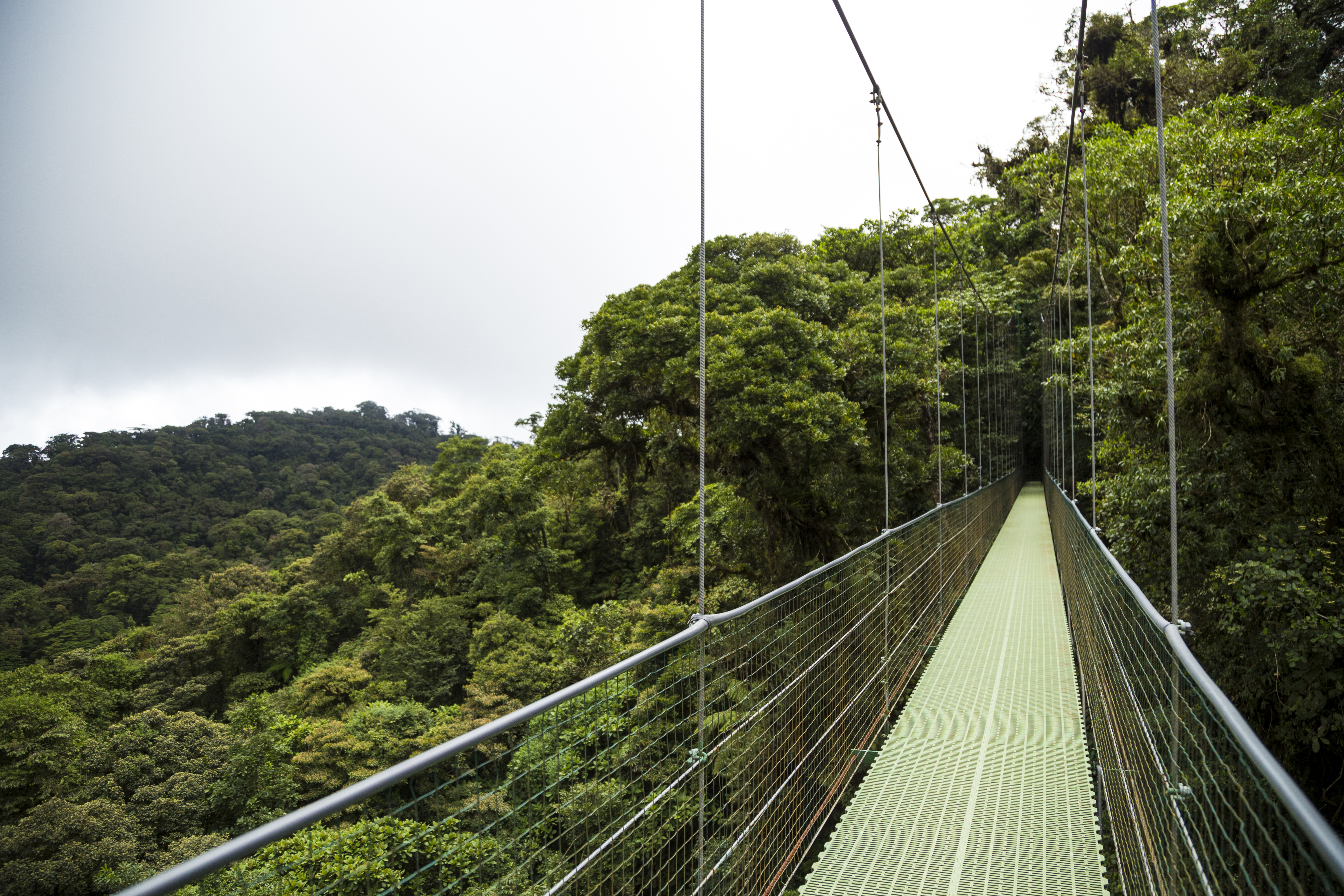 Nyungwe Canopy